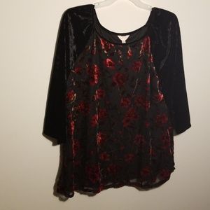 Adiva Velvet Top